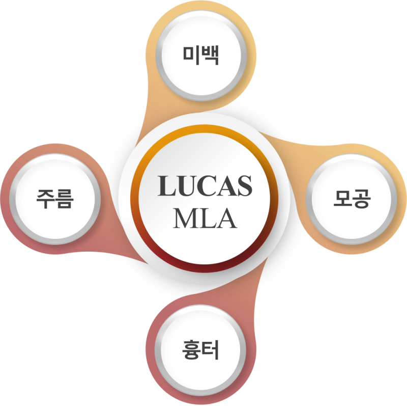 LUCAS PLUS / 루카스 플러스 큐스위치엔디야그 레이저 : 네이버 블로그