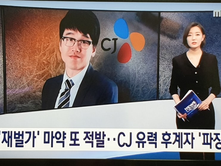 CJ 이재현 장남 이선호 씨, 변종 대마 밀반입하다 적발