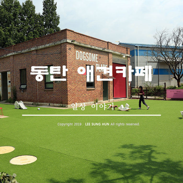  동탄 애견카페 독썸플레이스 대박 이다.