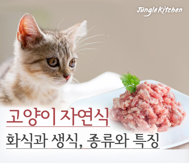  생식, 자연식, 화식? 뭐가 어떻게 틀린건가요? (고양이 자연식, 생식)