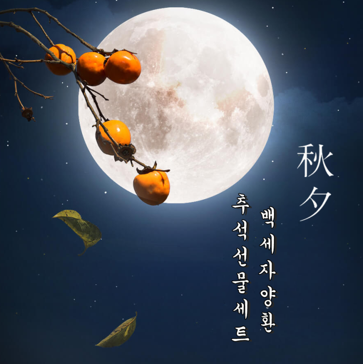 추석선물세트추천 백세자양환 명절선물 1위!