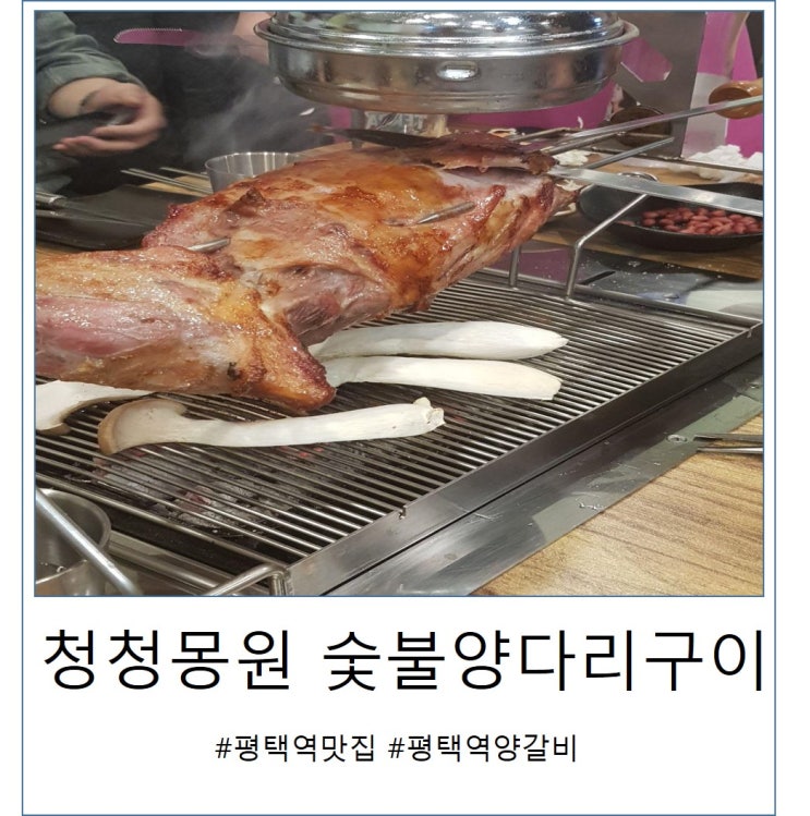 평택역 맛집:) 청청몽원 숯불 양고기 전문점 리뷰