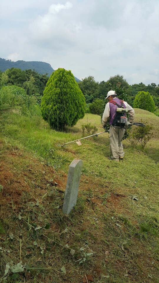  부모님 산소에 벌초 하기