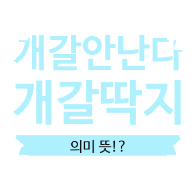  이짝워뗘 [ 개갈딱지 뜻, 개갈안난다, 개갈안나다, 개갈딱지 안나쥬 !? ] 의미 뜻