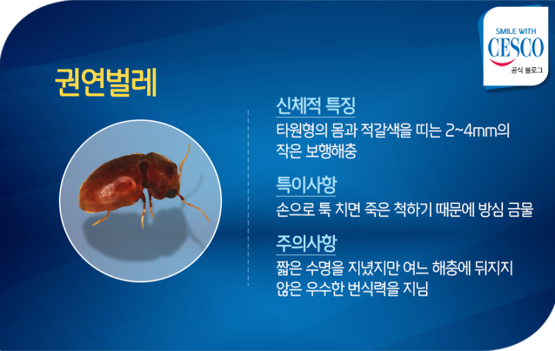 작지만 무시할 수 없는 피해를 예고하는 보행해충 권연벌레 : 네이버 블로그 작지만 무시할 수 없는 피해를 예고하는 보행해충 권연벌레 : 네이버 블로그