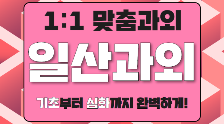  고양 일산 대화동 영어과외 중학생 주엽동 중등 수학과외 생기부관리