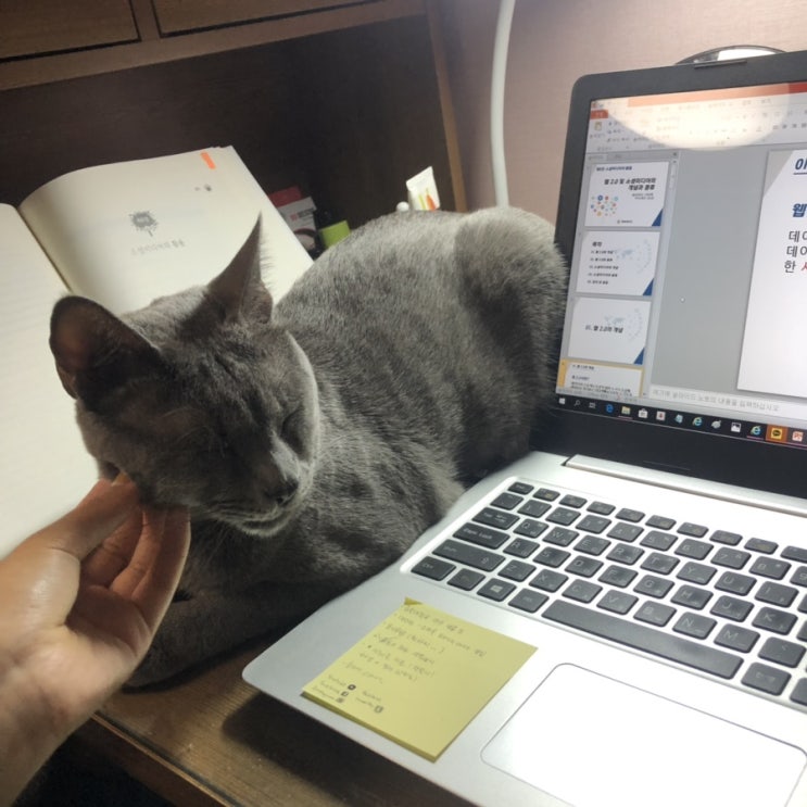  먼지와 계절학기