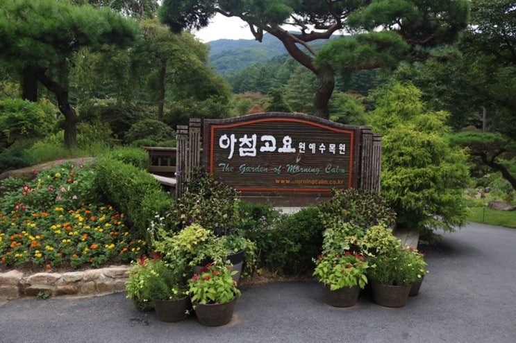  [가평 아침고요수목원] 가평 가볼만한곳, '아침고요수목원' 정보 및 후기