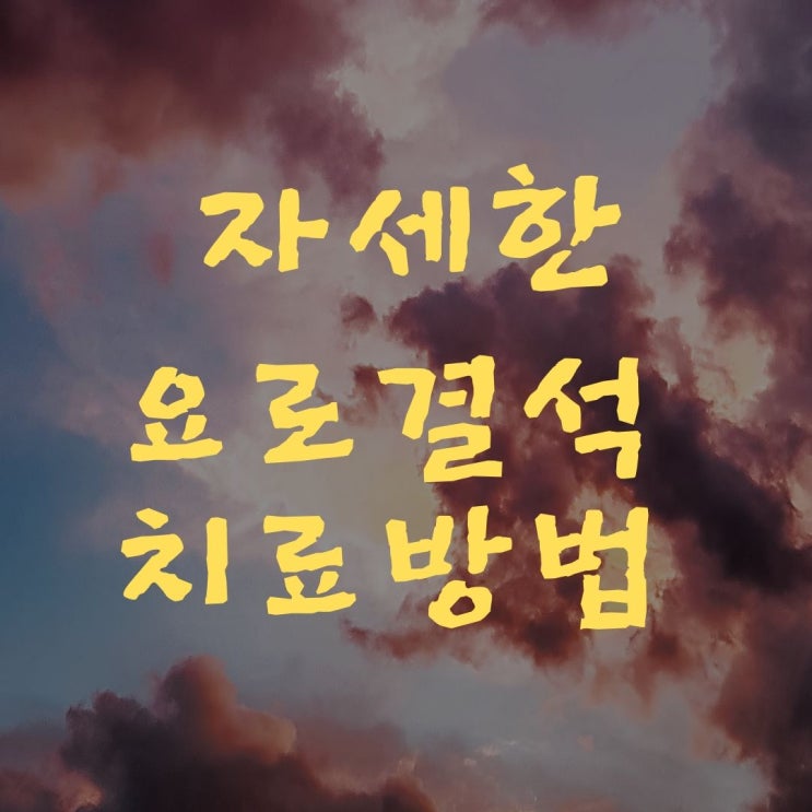  요로 결석 치료 방법 종류(체외충격파쇄석술, 요관경하 배석술, 경피적 신쇄석술)