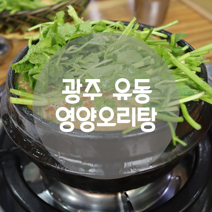  광주 유동 오리탕맛집 영양오리탕