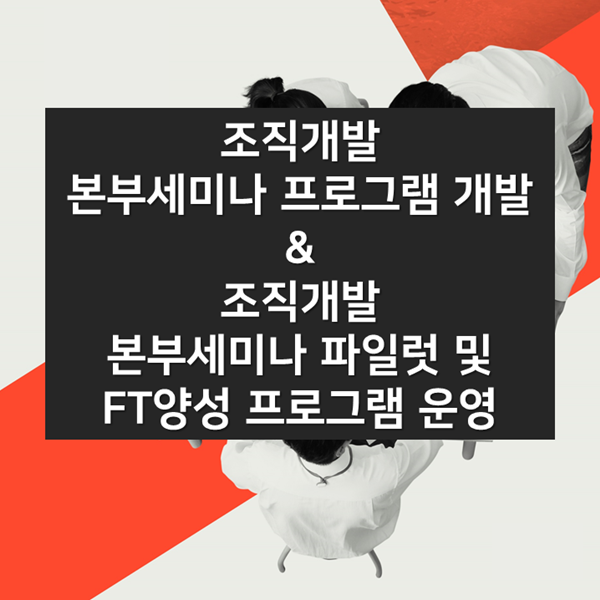  [조직개발] H그룹, 조직개발 본부 세미나 프로그램 개발 & 파일럿 및 FT양성 프로그램 운영