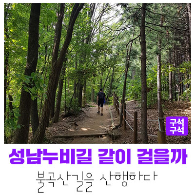[성남여행] 성남누비길 중 불곡산길을 따라 산행하다