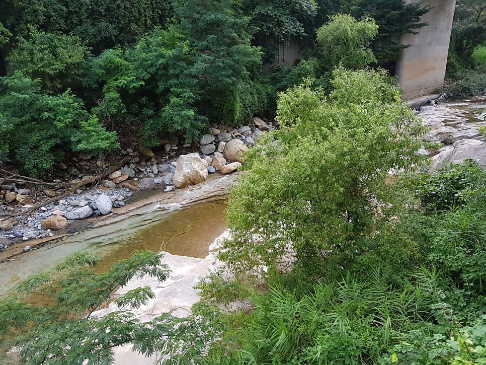 Swieoganeunjip photo 5