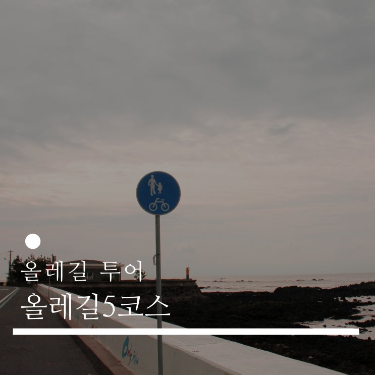  올레길5코스 _ 남원~쇠소깍, 전체적으로 너무 쉬웠던 길, 제주 올레길 추천