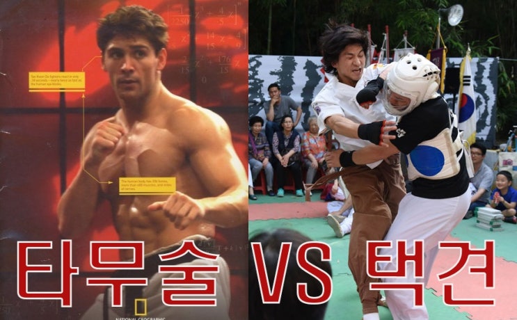  타무술 VS 택견 옛법택견연구시리즈4