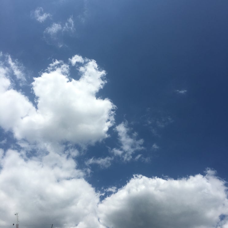 꽤 괜찮았던 여름