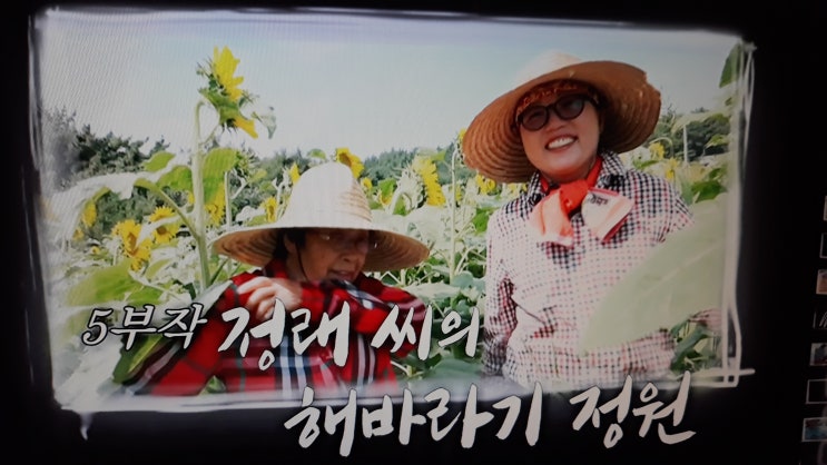  정래씨의 해바라기 정원 / KBS1 인간극장