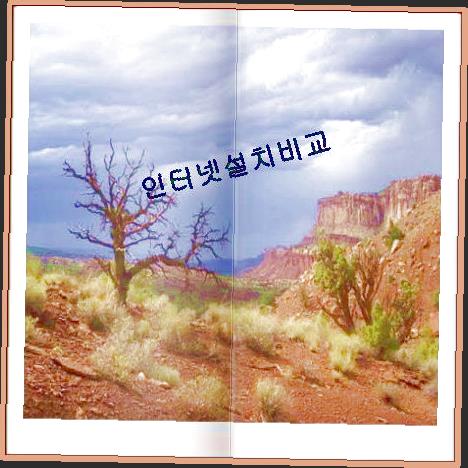  손범수암보험  마지막확인