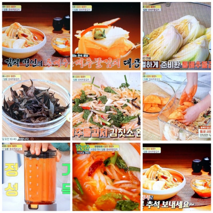  알토란 통배추물김치 유정임 물김치 알토란246회
