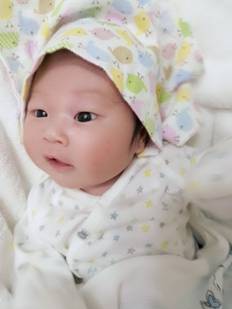  리환이 생후 21~24일차