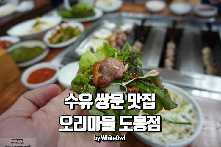  수유맛집 오리숯불 회전 구이 도봉점 단백질 보충은 오리고기로