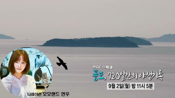  안산시 제작지원, ‘MBC 스페셜-풍도, 720일 간의 야생기록’ 방영