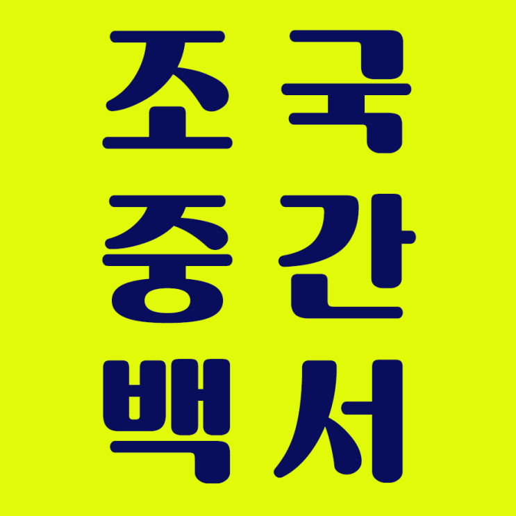  조국 중간 백서 [스압 주의/ 퍼 옴]