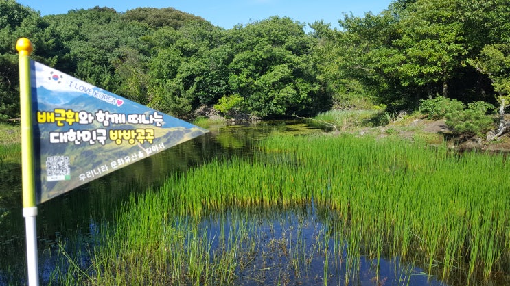  제주특별자치도 기념물 제10호 동백동산(동백동산 습지센터, 먼물깍 습지, 람사르 습지) -배근휘