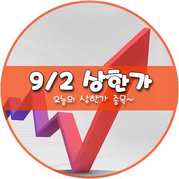 오늘의 상한가 및 테마주 9월 2일 _ 화천기계 메가엠디 현성바이탈 영화테크