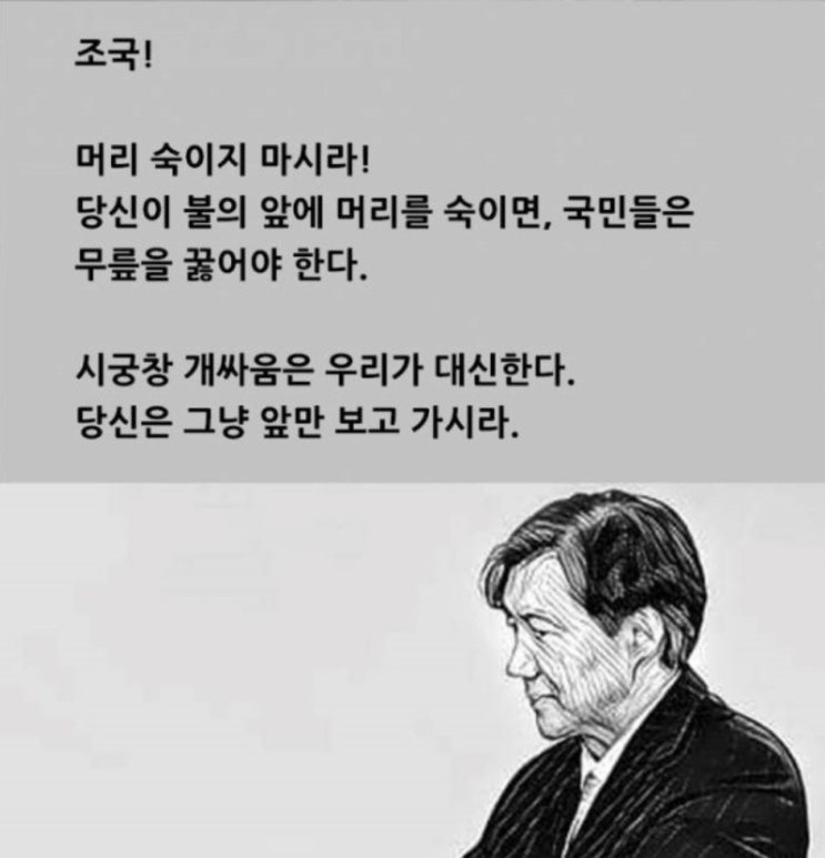  법대로조국임명