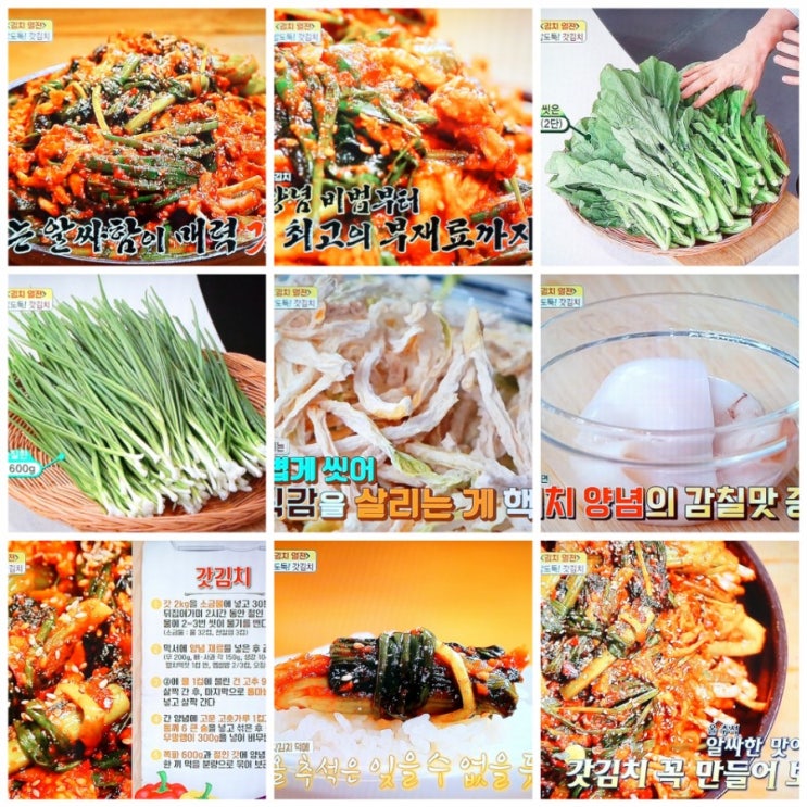  알토란 갓김치 맛있게 담그는법 김하진