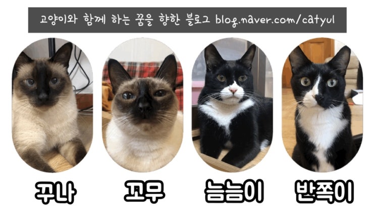  미국서부(라스베이거스, 로스앤젤레스) 7박8일 여행 계획 2 - LA숙소, 메가버스, 허츠렌트카