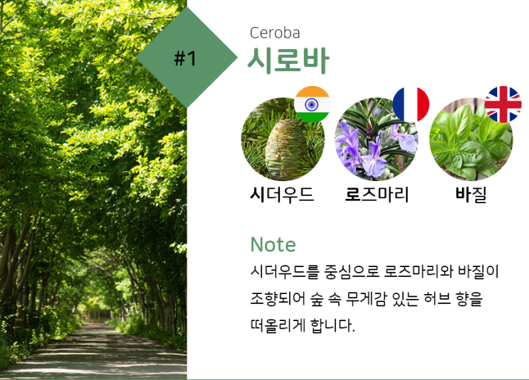  고양이, 강아지를 위한 디퓨저 - 바트밋 시로바 디퓨저