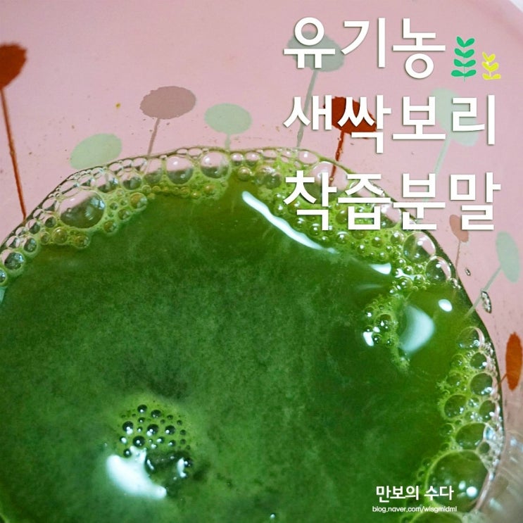  새싹보리 간편하게 먹는법