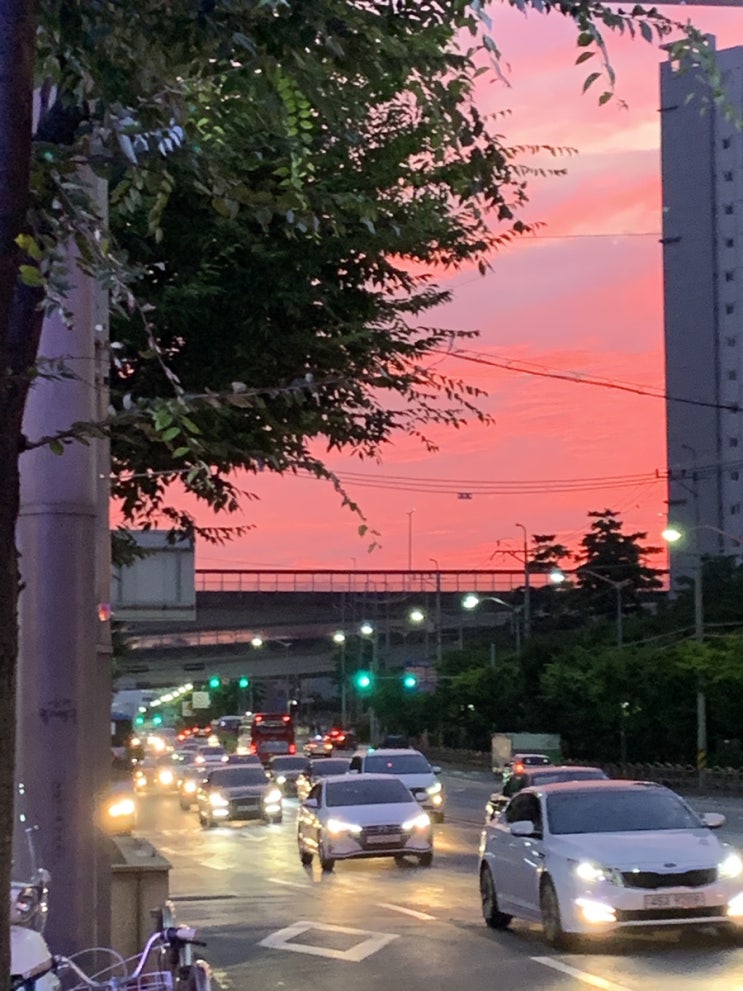  분홍빛 하늘