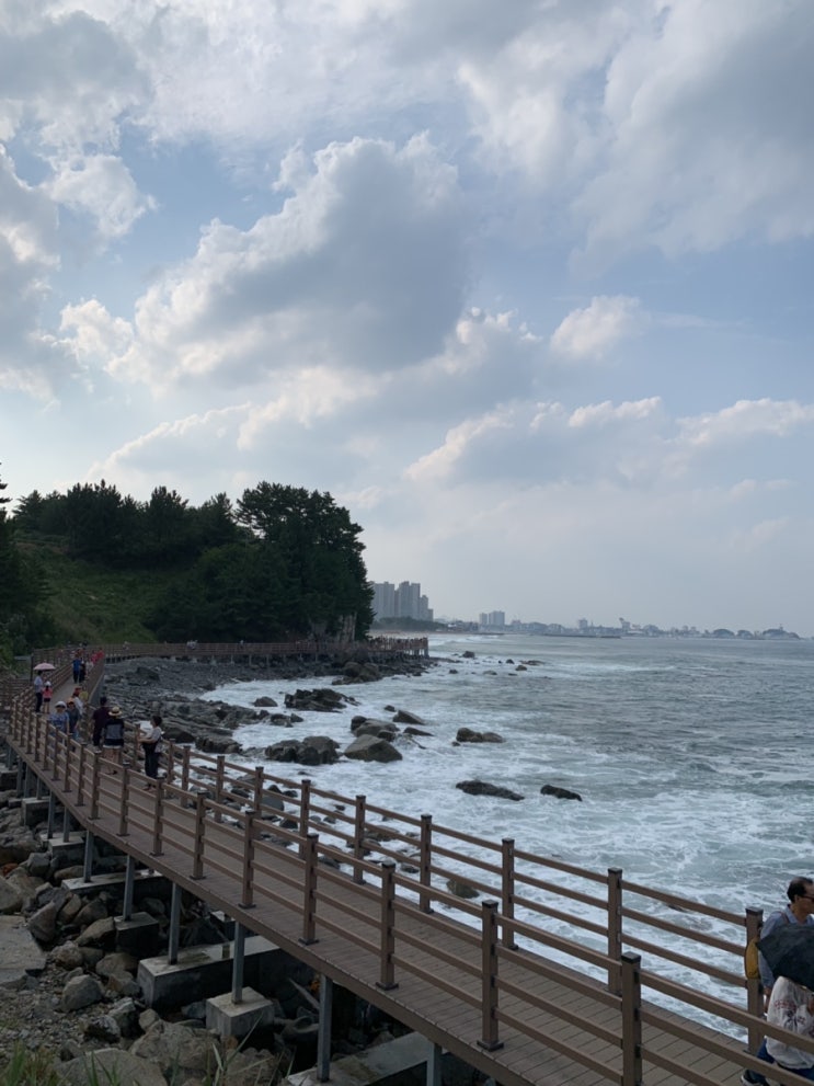  2박 3일 속초 여행 2일차 :: 아바이마을 / 아바이마을 유진이네 / 카페 속초역 / 영금정 / 바다향기로 외옹치구간 / 동아서점 / 문우당서림 / 베이커리가루 / 속초중앙시장