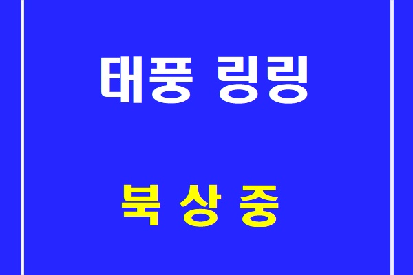   제 13호 태풍 링링,알아두면 좋은 예상 이동 경로