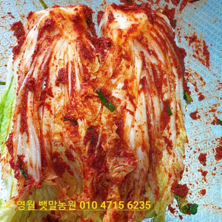 추석 김치 맛?있게 만들어 봄