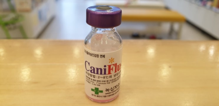  대구대현동물약국 : 강아지 인플루엔자 백신 캐니플루맥스 독감백신 예방접종 자가접종 ①