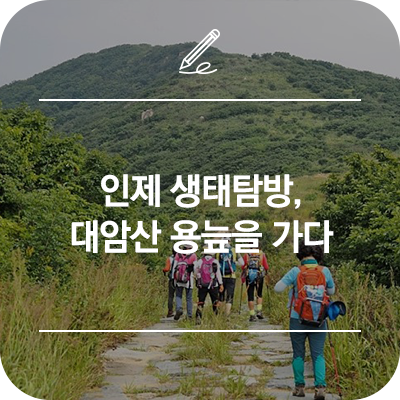  인제 가볼만한곳 :: 인제 생태탐방, 대암산 용늪을 가다
