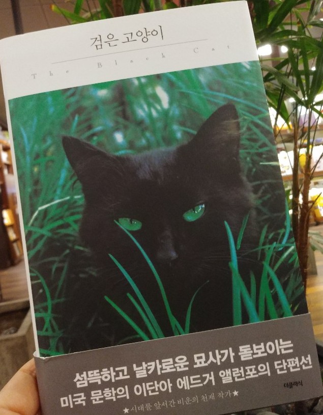  [책속그말] "짐승의 헌신적인 사랑에는 한낱 인간의 얄팍한 우정과 덧없는 신의에....." : <검은 고양이>, 에드거 알렌 포