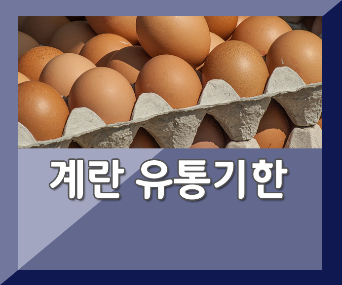 계란 냉장보관 유통기한은 얼마나될까/ 계란 유통기한 : 네이버 블로그