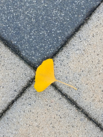  요 며칠은...