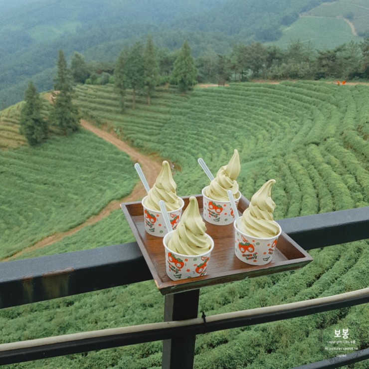  [보성 카페] 보성여행 녹차밭 뷰가 멋있는 보성 초록잎이 펼치는 세상 _ 녹차 아이스크림 (유산균) _ 보성 차밭 전망대