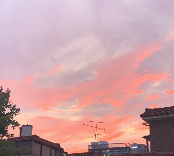  19_09.03