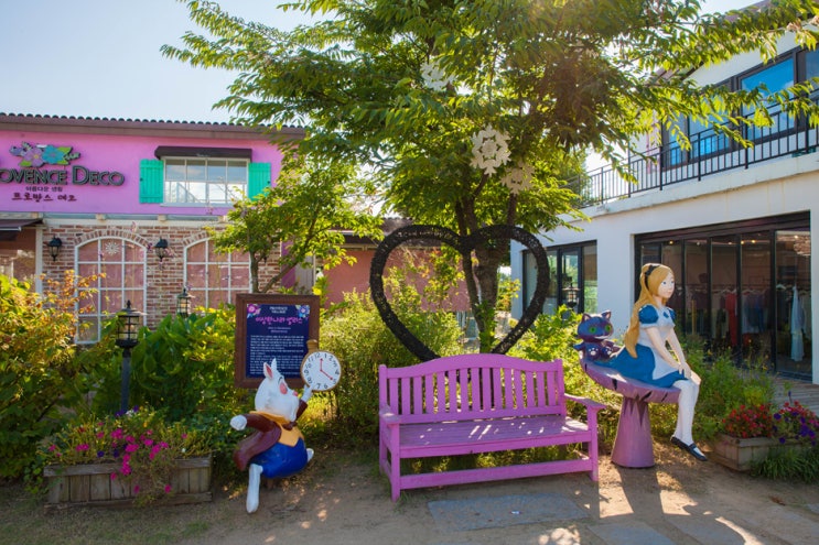  파주 프로방스 기대하지 마세요!