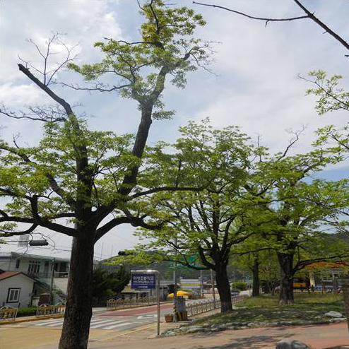  숨바꼭질공포영화 한국 스릴러 숨바  다음달에 가요