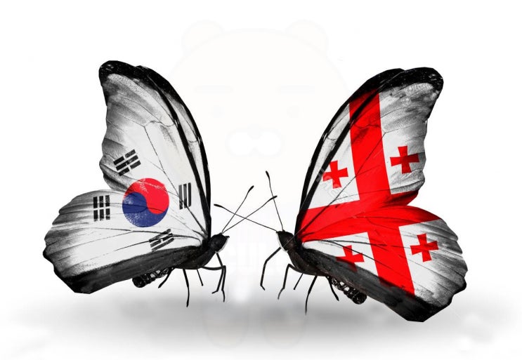  [A매치] 한국(대한민국) vs 조지아(그루지야) 분석 프리뷰 : 축구팀 소개·피파랭킹·상대전적·예상 선발 라인업·중계·일정 안내