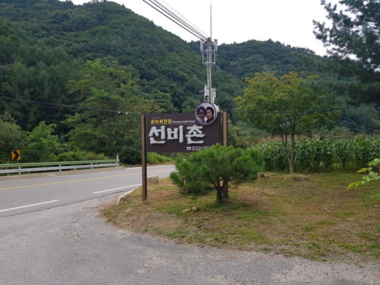  강릉송어회평창선비촌[HOT토니엄마송어회]