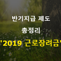  '2019 근로장려금' - 반기지급 제도 '총정리'